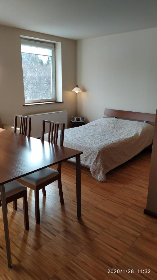 Zawoja1560 Apartamenty Przy Aptece Экстерьер фото
